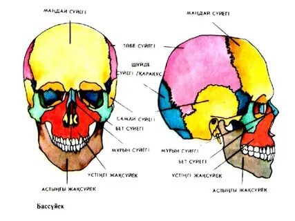 Анаммен порно көру