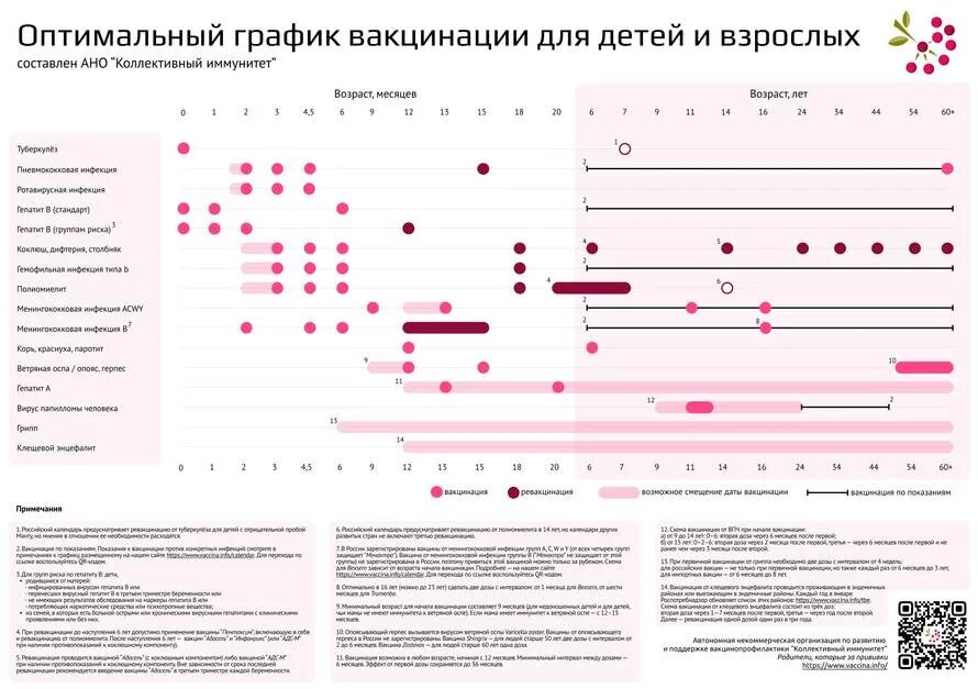 Календарь прививок впч. Национальный календарь прививок 2025 взрослые. оптимальный график вакцинации для детей и взрослых 2025. график прививок для взрослых. план прививок для взрослых.