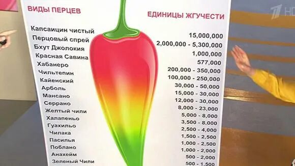 чили таблица. чили таблица. перец халапеньо шкала сковилла. чили по географии. шкала сковилла перец чили.