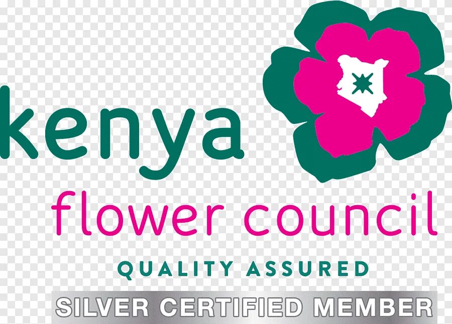 DAOFLOWERS - оптовые поставки цветов из Эквадора и Колумбии, Кении