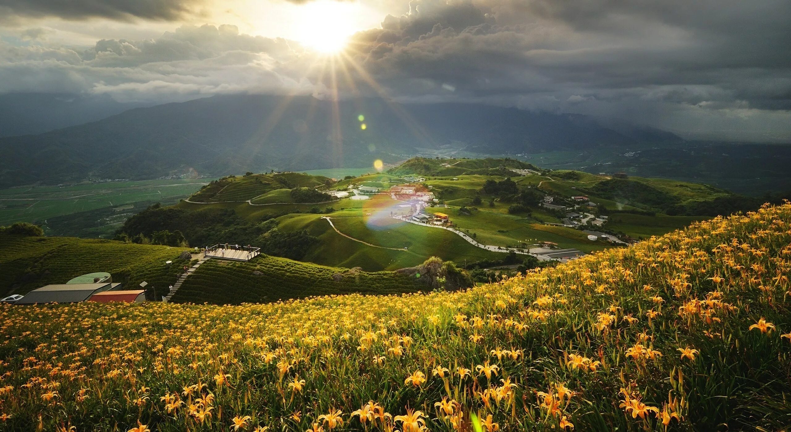 Вьетнам равнина. Равнинная долина. Красивый пейзаж. Альпийские луга франции. Альпийские луга национального парка олимпик.