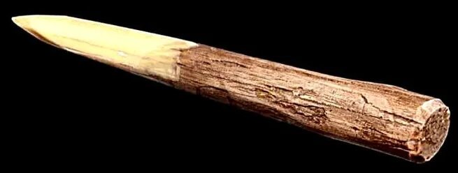 Копье из дерева. Деревянный кол. Осиновые колы. Деревянная палка с заостренным концом. Осиновый кол.