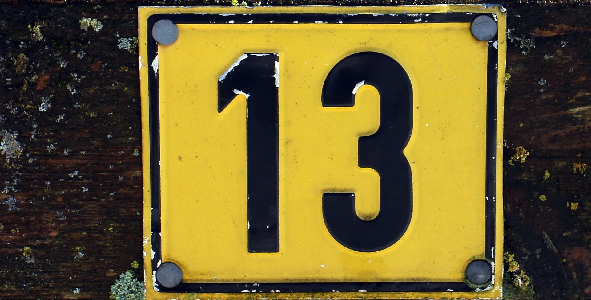13 обычный