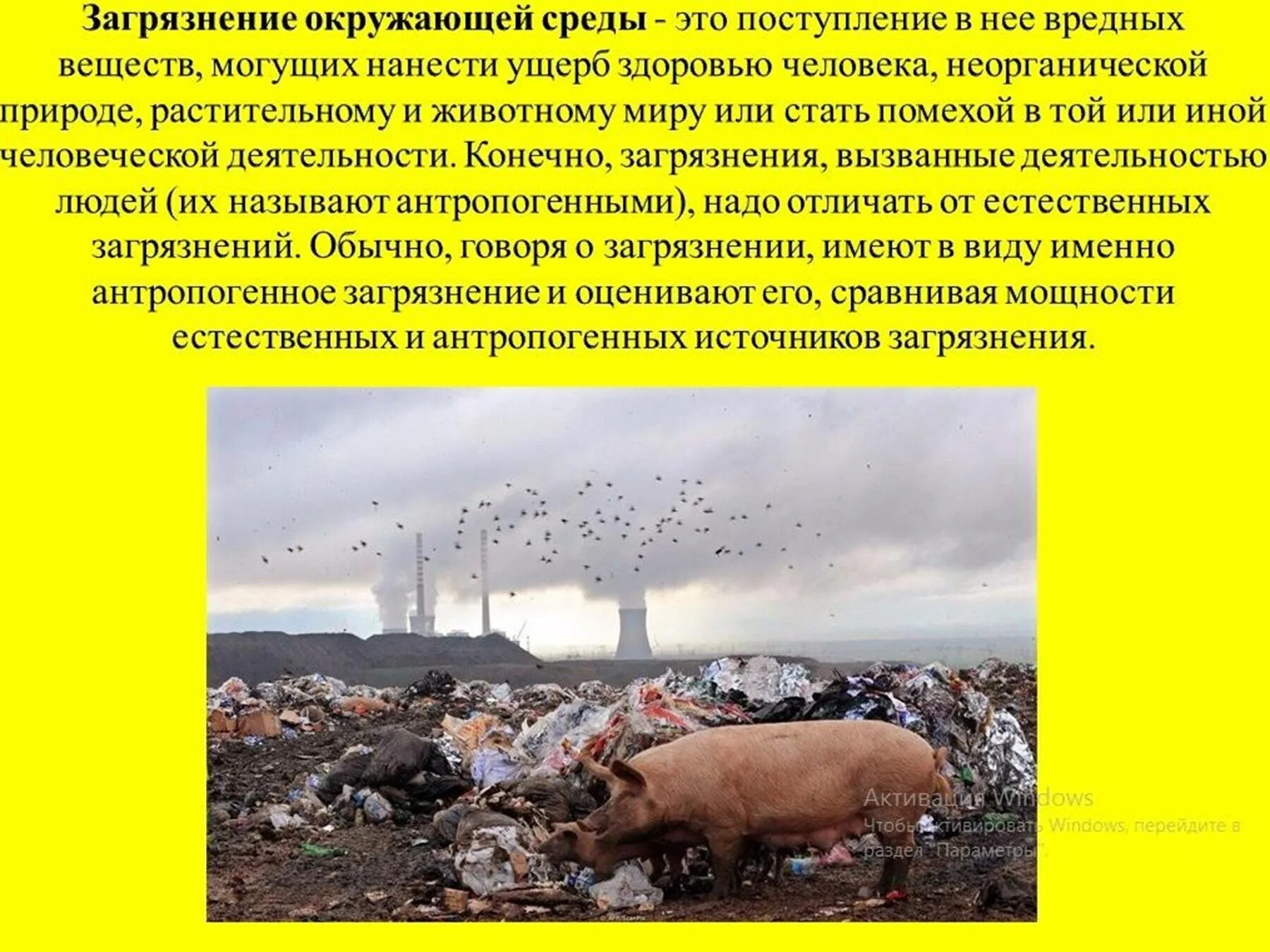 Экологическое влияние человека на природу. Влияние загрязнения на окружающую среду. влияние человека на окружающую среду. влияние человека на экологию. влияние экологии на окружающую среду.