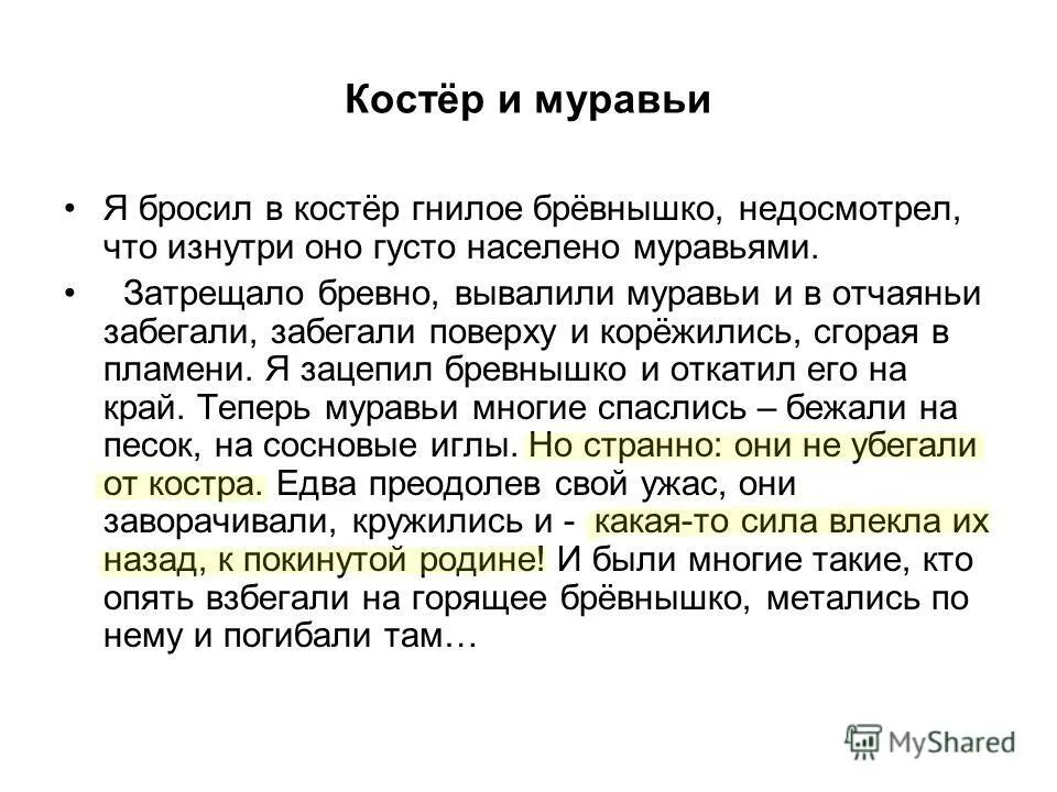 Сочинение по рассказу костёр и муравьи. Найдите в тексте авторские определения. Текст это определение. Костер и муравьи текст. Я бросил в костер гнилое бревнышко недосмотрел.