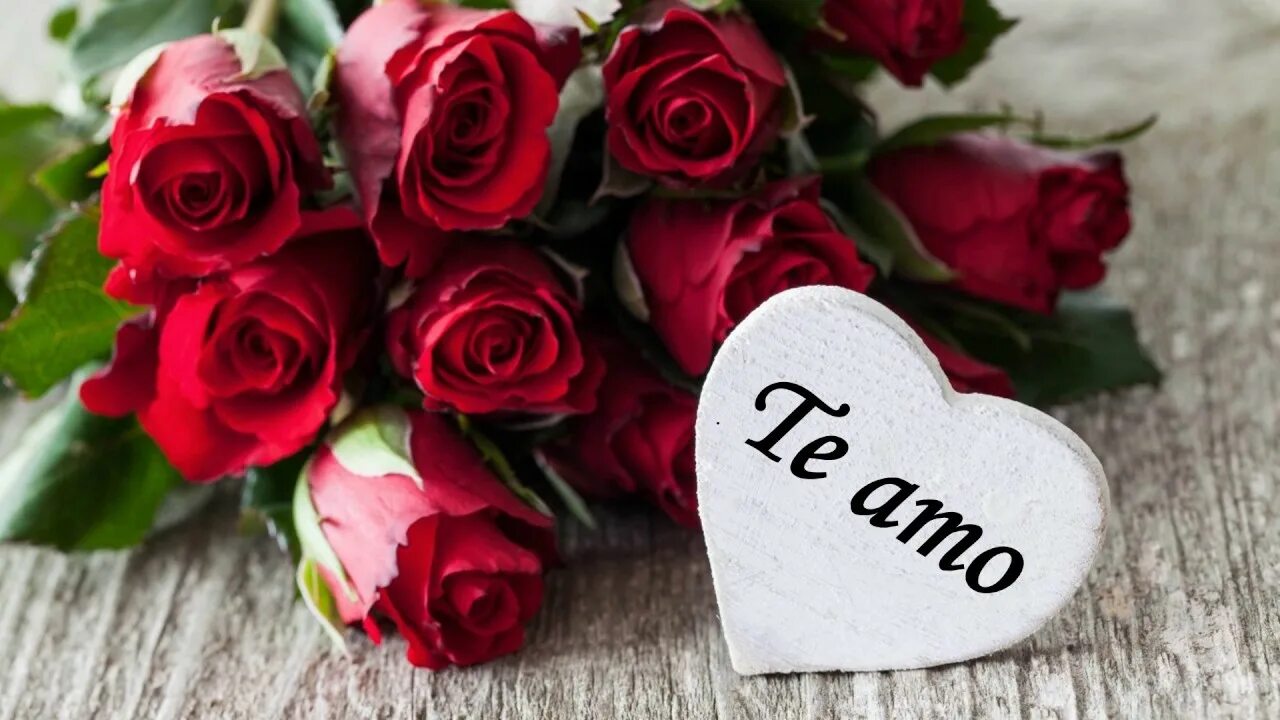 "цветы любви". Цветы розы. Awesome roses. Покажи красивые розы. Good morning розы.
