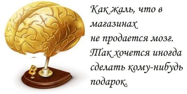 Ничего не жаль слова. Мозг в подарок. Подарить мозги. Дарю мозг. Жаль что в магазинах не продается мозг.