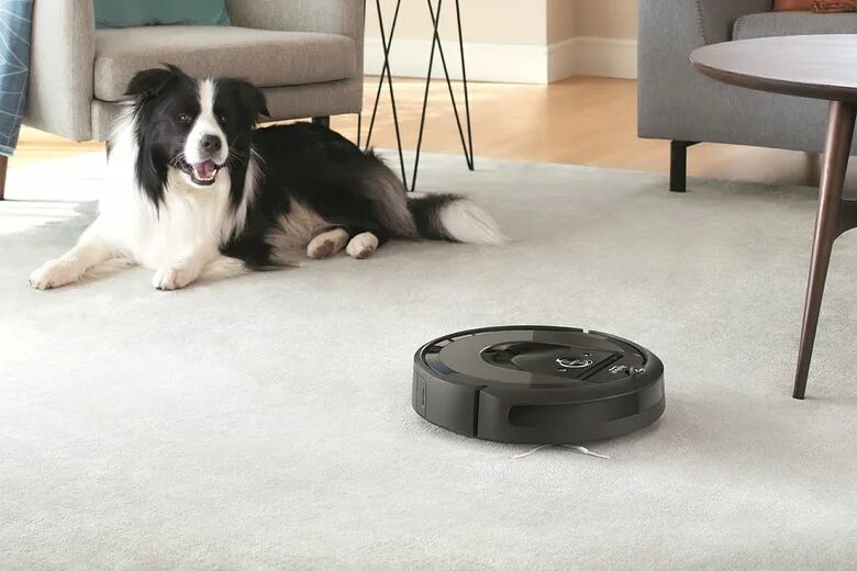 Робот пылесос справляется с шерстью. Irobot roomba бренд. робот пылесос и животные. кот на роботе пылесосе. пылесос для мебели от шерсти животных.