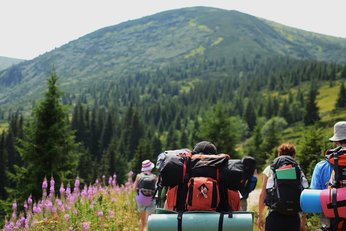 Www tourism. Экологический туризм. Экологический туризмзм. Экотуризм. Экотуризм в России.