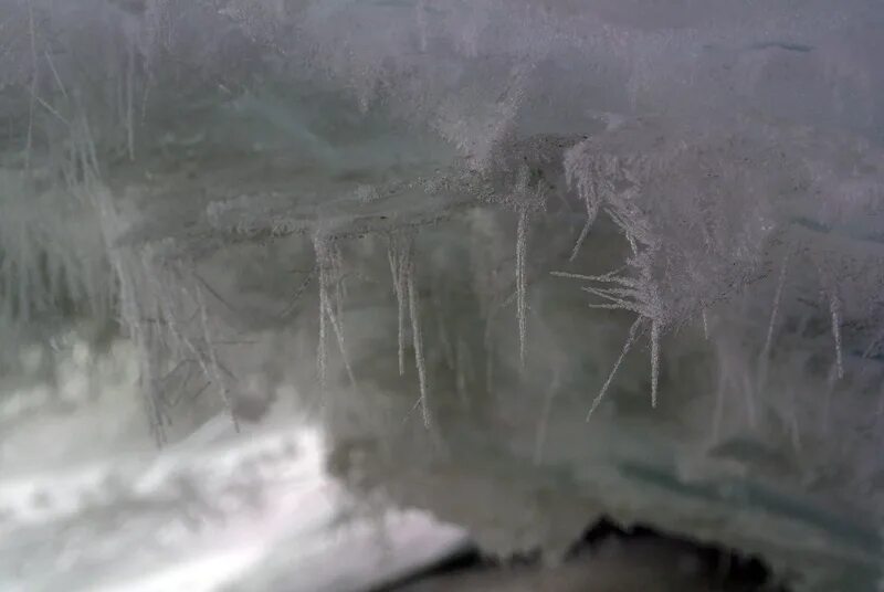 Днепр замерзает зимой в херсоне. Лед на реке. Днепр замерзает зимой или нет. Лед река нева. Замерзший днепр.