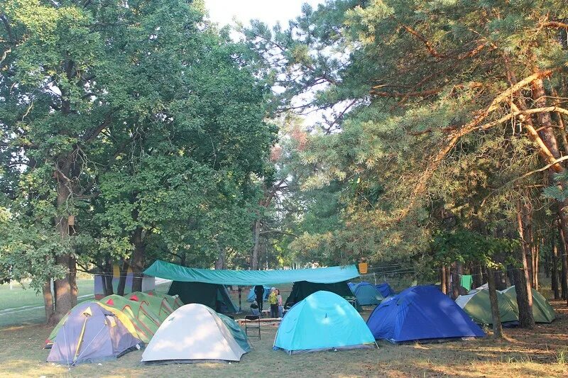 Меню палаточный лагерь. Палаточный лагерь. Кемпинговый лагерь. Оборудование палаточного лагеря. Самородово палаточный лагерь.