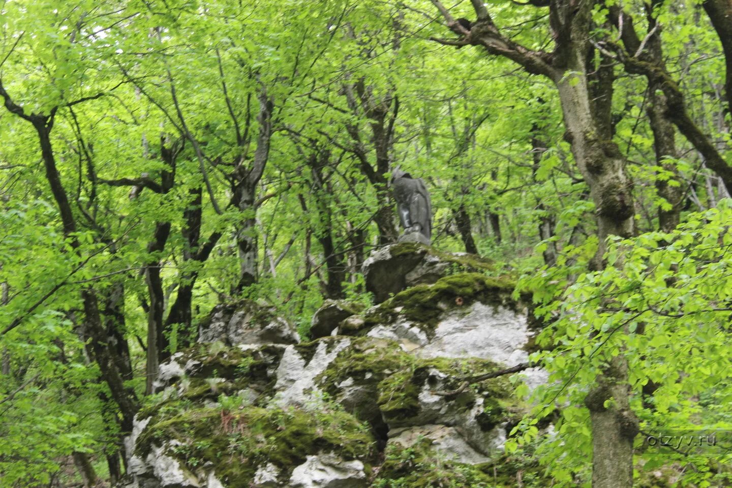 Железноводск парк терренкур. Железноводск парк терренкур. Железноводск терренкур 3. Железноводск терренкур 1. Терренкур нальчик.