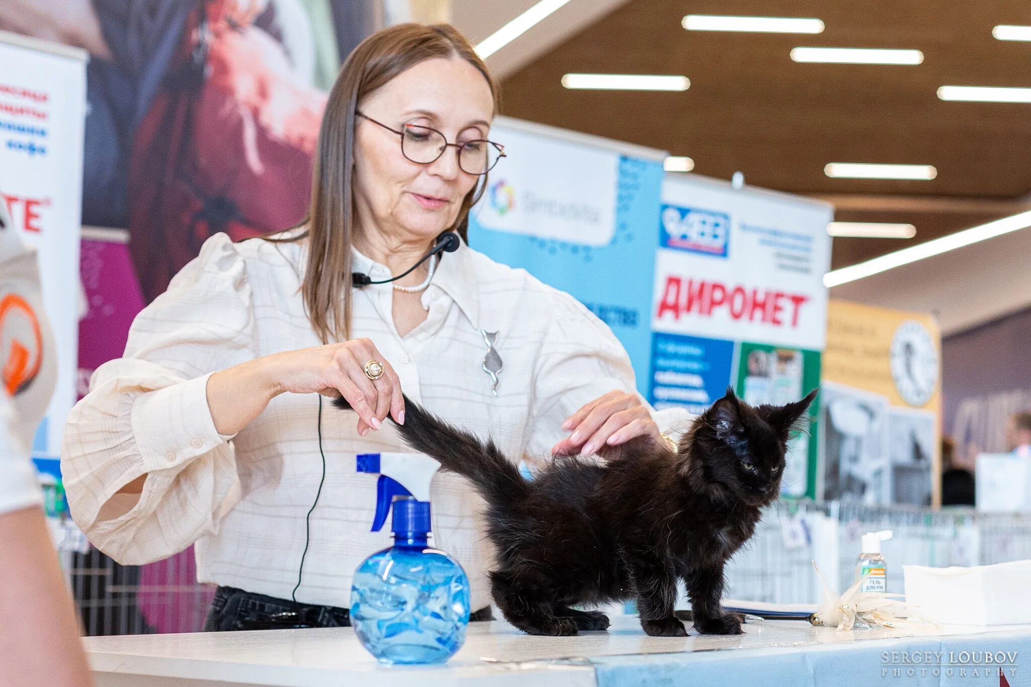 Выставка кошек. Выставка кошек ЕКБ. Выставка кошек в Новосибирске 2022. Кошачья выставка.