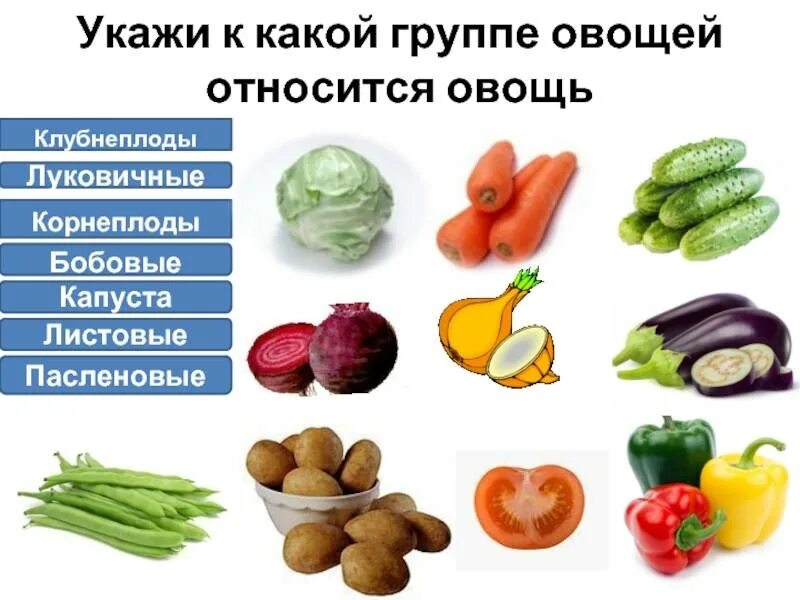 Паслёновые овощи. К клубнеплодам относятся овощи. Овощные Пасленовые культуры. Продукты семейства пасленовых. Пасленовые овощи это