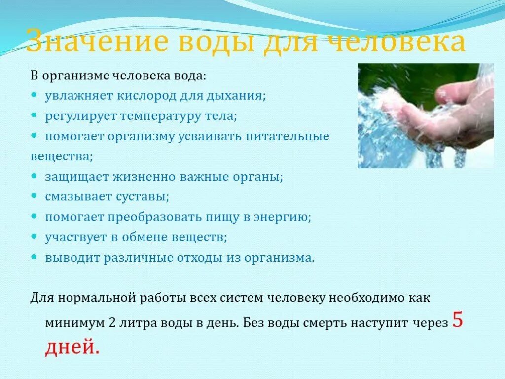 Вода и ее значение для человека. Польза воды для человека. щначениво́ды для организма. значение воды в жизни человека. значение воды дляопганизма.