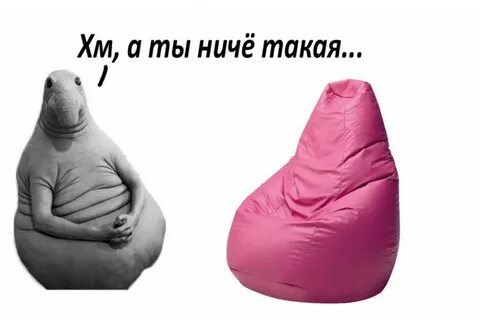 Джун ждун
