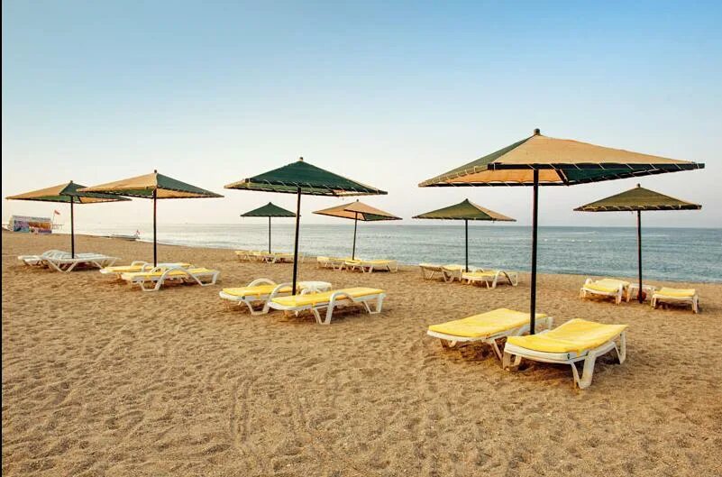Отель мс бич отзывы. Отель мс бич резорт 5. mc beach resort hotel 5 турция. mc beach resort hotel 5 турция конаклы. mc beach resort hotel 5 алания.