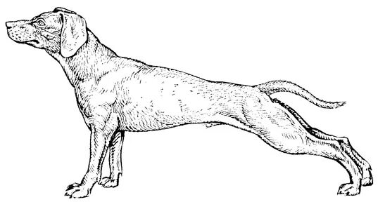 Столбняк у животных. Столбняк животных профилактика. Столбняк у животных. Проявление столбняка у животных. Столбняк у животных.