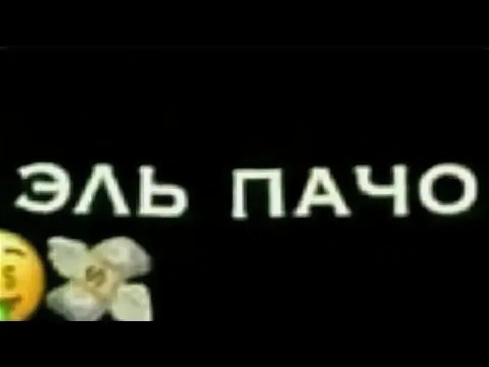 Эль Пачо Володя. Volodya Эль Пачо. Твой папа богаче Эльпачо. Богаче Эль Пачо. Песня твой папа богаче