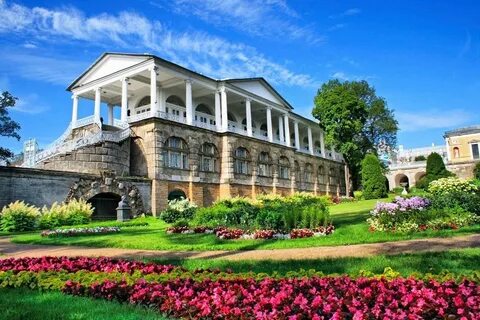 Провести время в пушкине