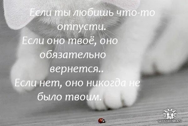 Приму и не отпущу. Если любишь отпусти. Любишь отпусти если твое вернется. Если любишь отпусти если. Если любишь отпусти если оно твое то.