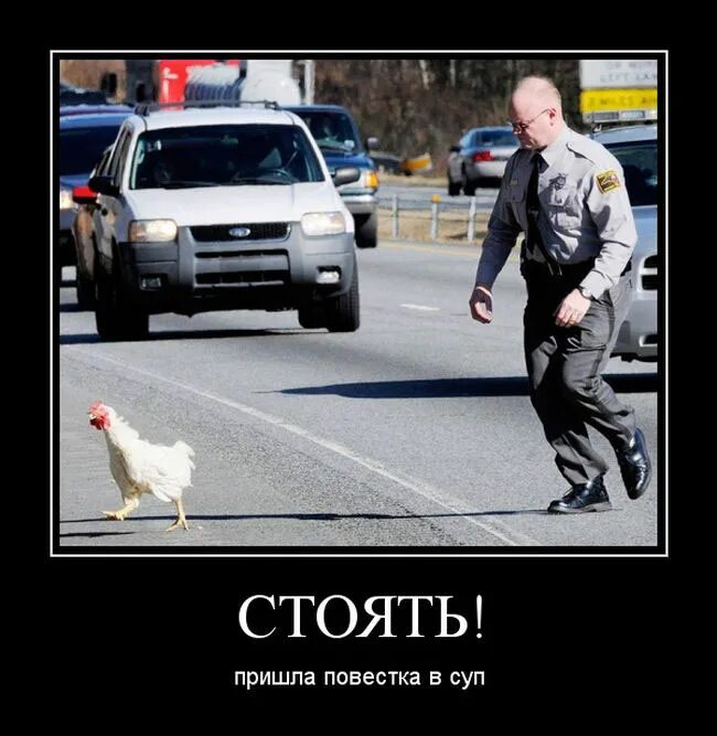 Стоит прийти. Стой прикол. Демотиваторы 2007. Повестка в суп. Стоит прикол.