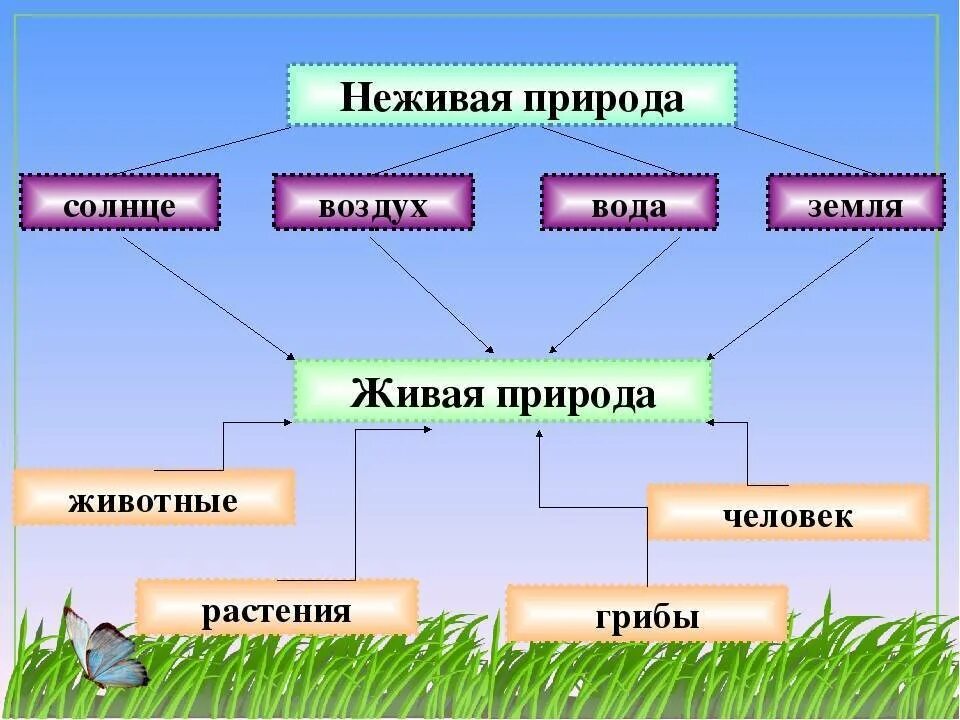 План урока по теме природа