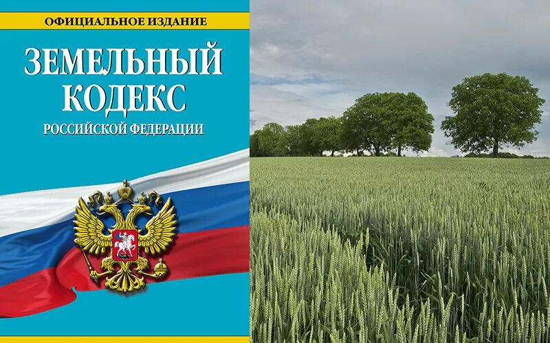 Земля под редакцией. Кусок земли. Земля под редакцией. Земельный участок на белом фоне. Земля под редакцией.