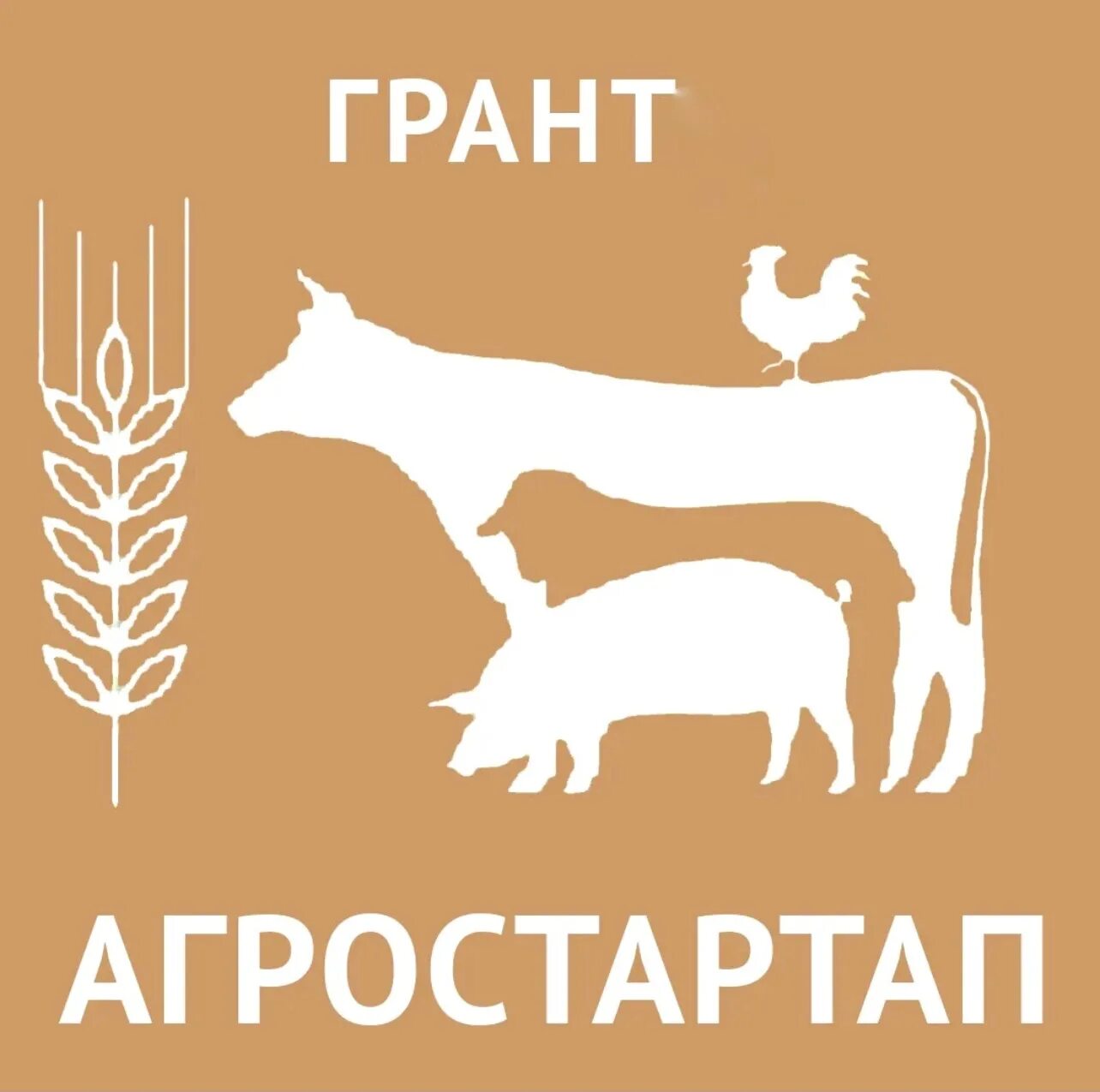 Гранты сельское хозяйство. Гранты фермерам. Агростартап. Грант агростартап картинка. Конкурс грантов картинка.
