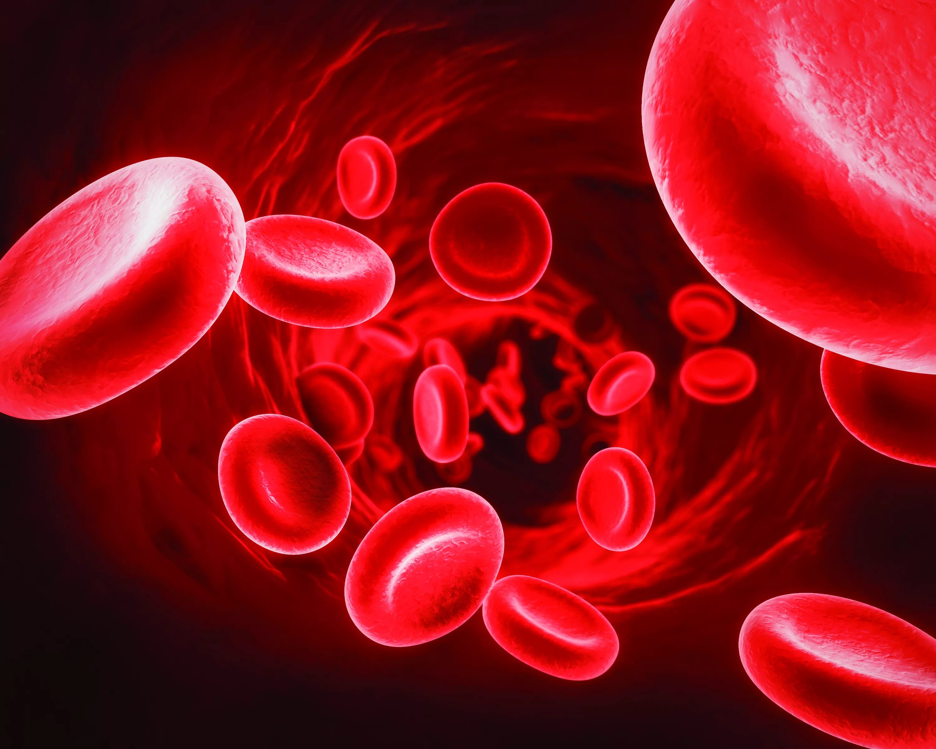 Гемоглобин какая ткань. Клетки крови гемоглобин. Эритроциты и гемоглобин в крови. Эритроциты гемоглобин железо. Гемолитическая анемия гемоглобин.