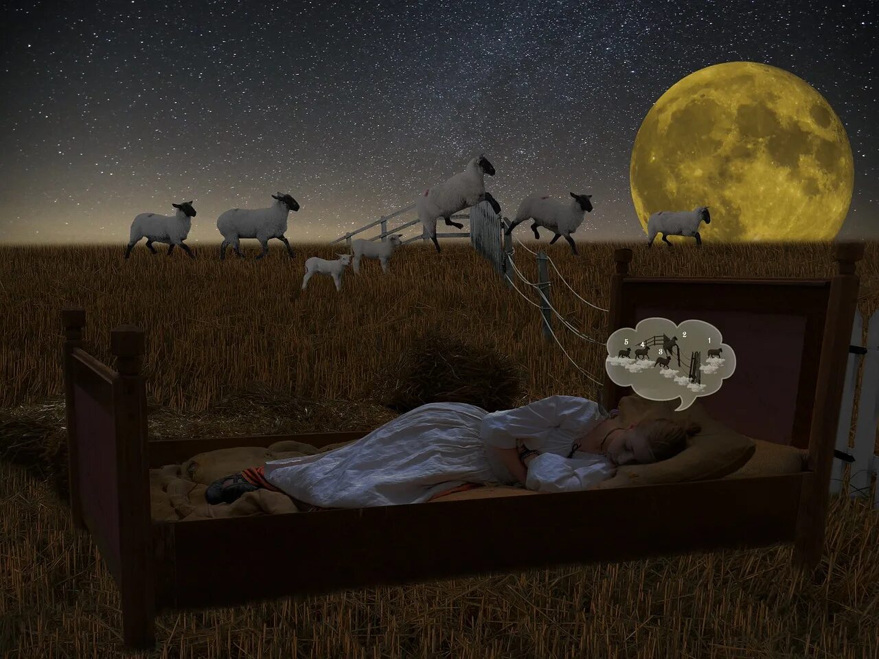 Плохие сны в рождественскую ночь. Короткий сон. ночь спать. бессонница. ночь сон.