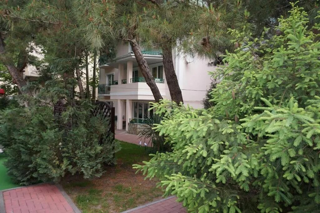 Сосновая дача. Геленджик гостиница сосновая дача. Сосновая дача. Сосновая дача. Бассейн дачный в соснах.