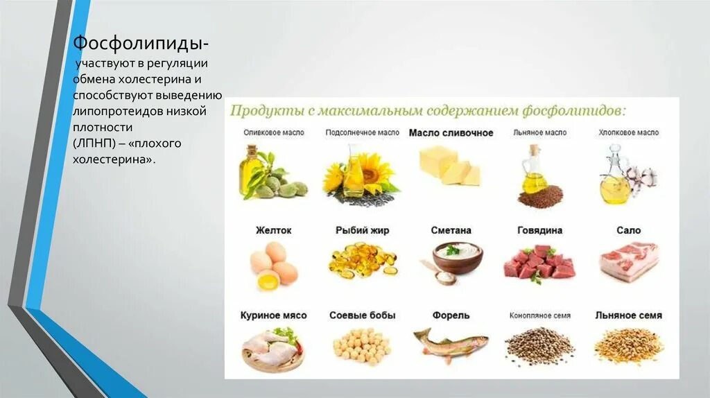Можно ли подсолнечное масло при холестерине