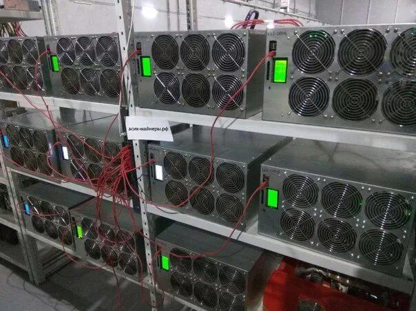 Какого года асик. Асик м305. bitfury b8. асики bitfury. асик с19 комплект.