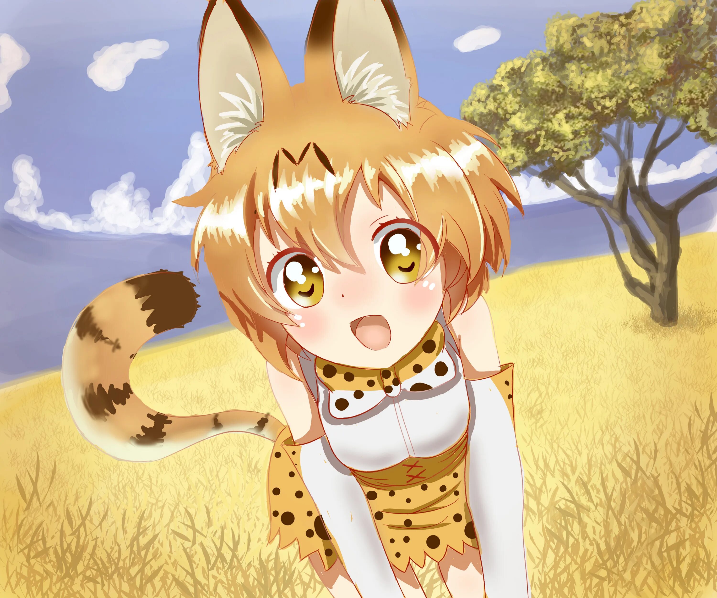 Kemono post. Kemono friends сервал. Kemono friends Serval. Кьюруру Kemono friends.