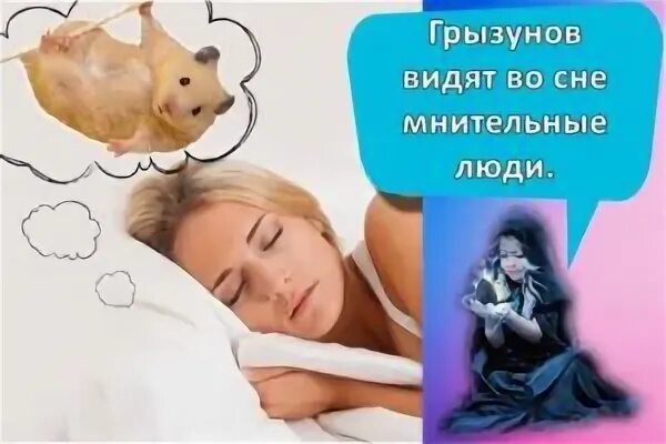 Хомяк во сне для женщины