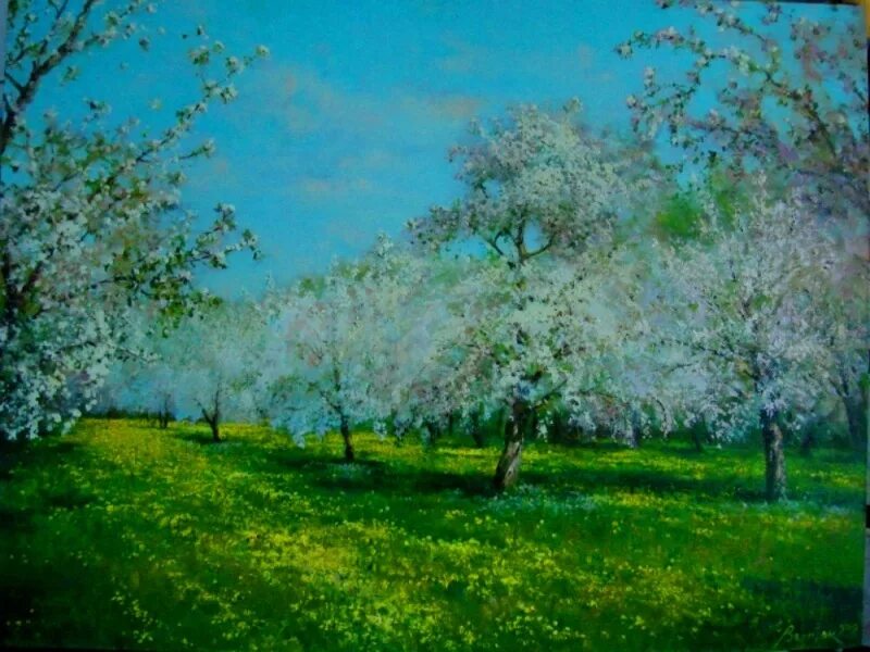 не жалею не зову не плачу есенин. белая яблоня. есенин белые яблони. все испарилось как с яблонь дым. белых яблонь дым средство.