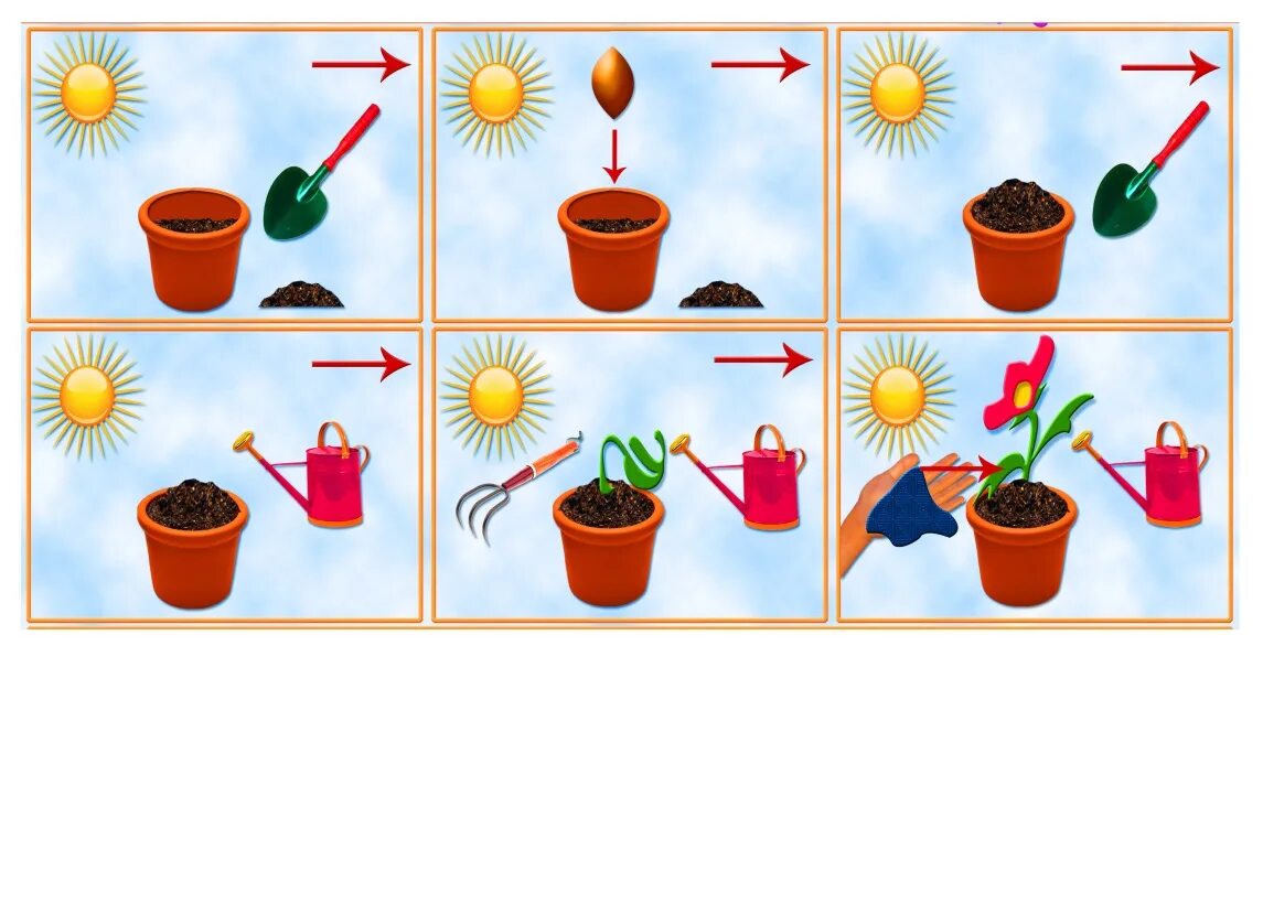 Алгоритмы игр детей. Алгоритм ухода за цветами. Ухаживание за растениями в детском саду. Комнатные растения для дошкольников. Задания по комнатным растениям для дошкольников.