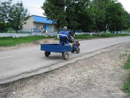 Погода в боровке