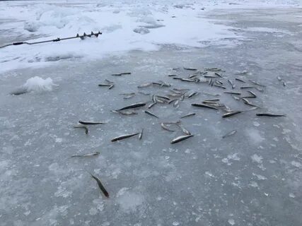 Сейчас заливают