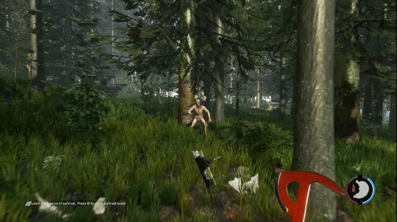 Forest игра. Forest игра. Forest игра. форест скрины. игра sons of the forest.