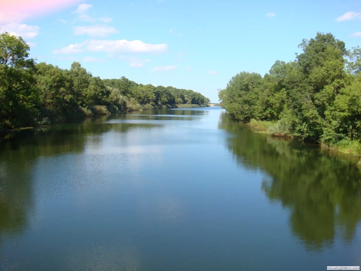 Река вонча. Река Вонча в Марий Эл. Река Велека Синеморец. Самая чистая река в мире Вонча.