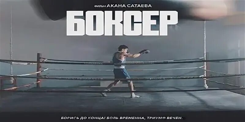 Боксер 2021