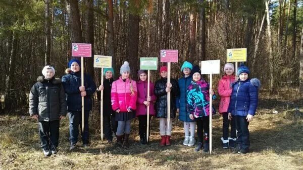 Жуковская школа Брянской области. Школа 2 Жуковка Брянская область. Лицей Жуковка Брянская область. Школа в Жуковке Брянской области. Школа жуковка брянская область