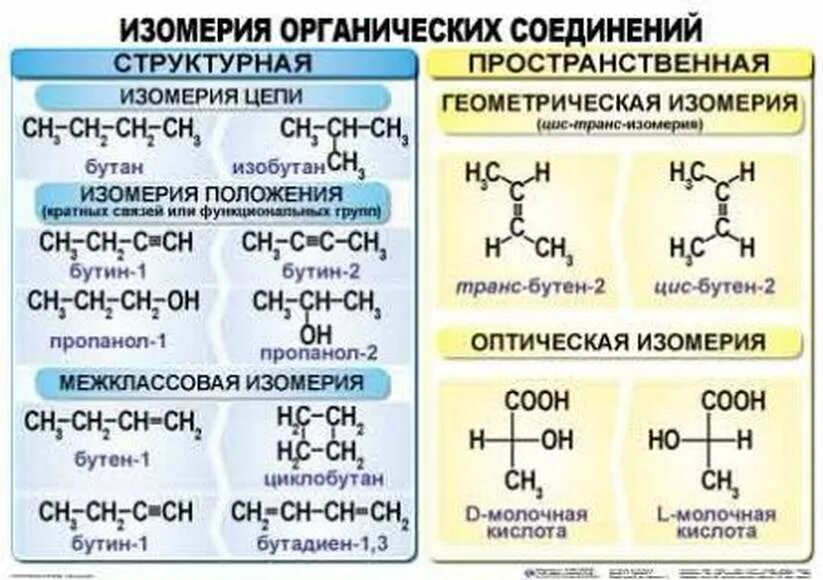 Виды изомерии органических соединений схема. Типы изомеров в органической химии. Изомерия органических соединений схема. Изомеры органических соединений таблица. Изомерия химия 10