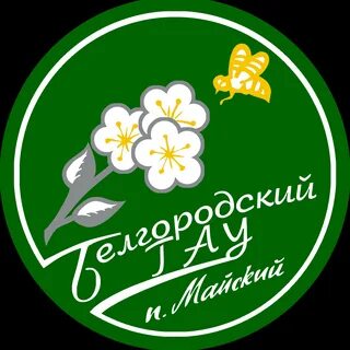 Система электронной поддержки белгау