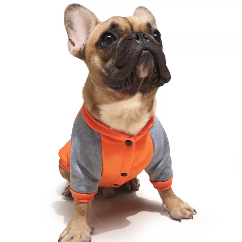 Одежда для французского бульдога. Теплый зимний жилет для французского бульдога 2xl. Жилетка для французского бульдога. Одежда для собак французский бульдог кобель. Одежда для собак французский бульдог кобель.