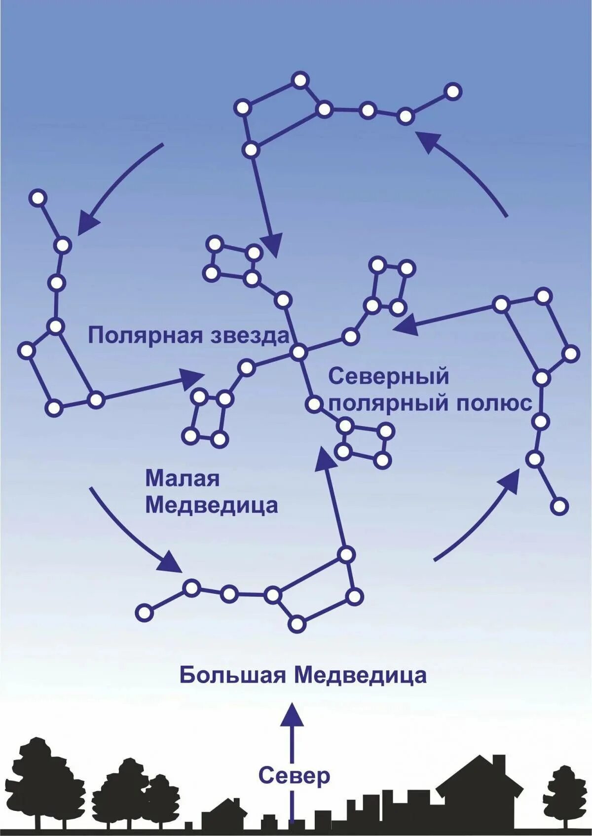 Полярная звезда 8