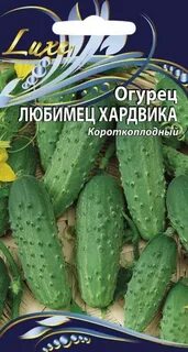 Огурец сорт любимчик