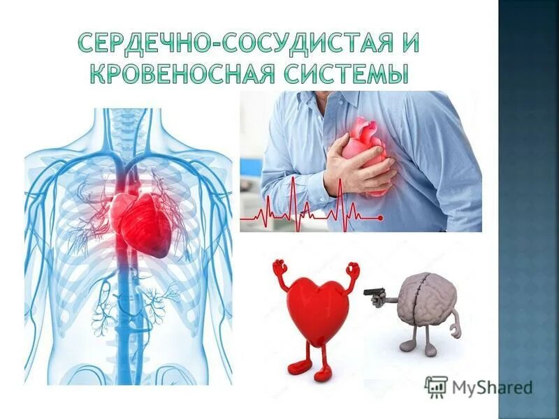 Итоговый индивидуальный проект Тема: "Влияние магнитных бурь на здоровье - презе